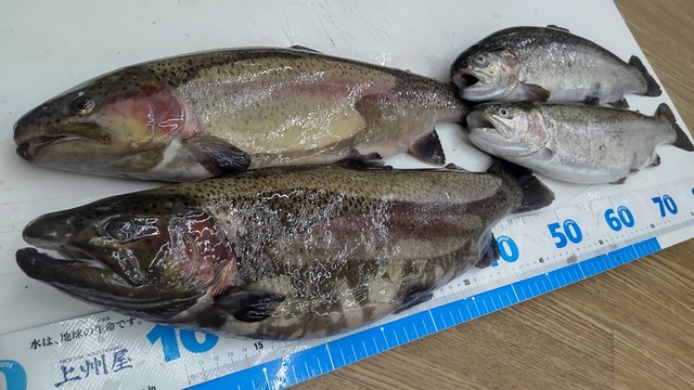 つり具の上州屋 - あなたのフィッシング＆アウトドアライフをサポート