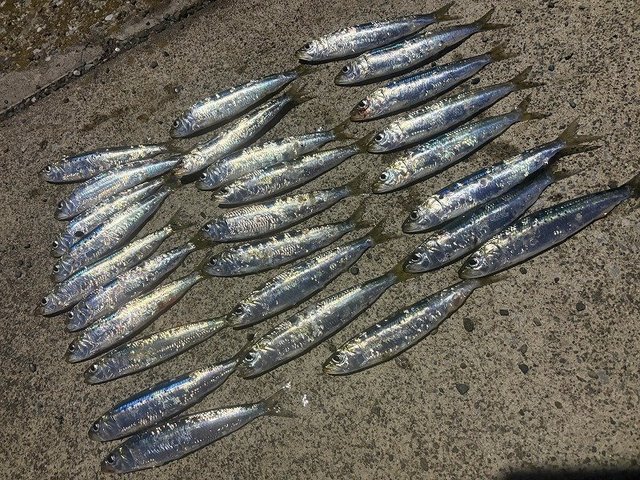 つり具の上州屋 - あなたのフィッシング＆アウトドアライフをサポート