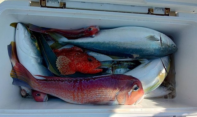 つり具の上州屋 - あなたのフィッシング＆アウトドアライフをサポート