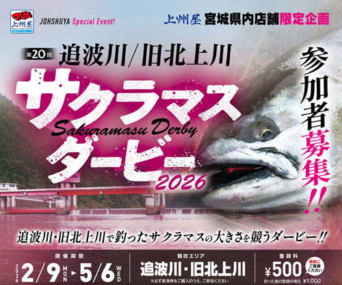 2026サクラマス解禁情報〕今年も胸躍る季節到来！サクラマスのこと