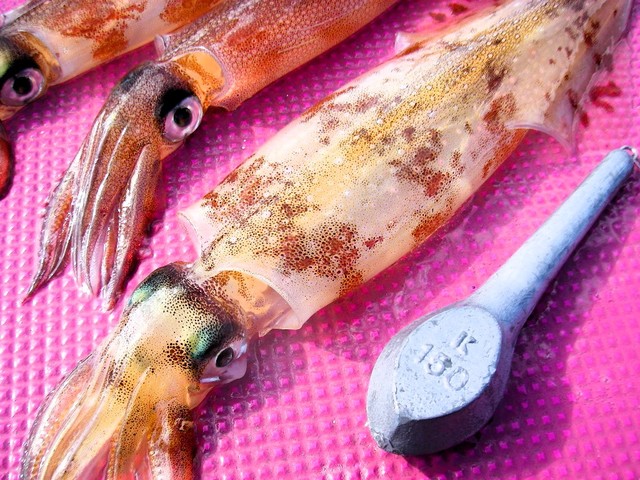 つり具の上州屋 - あなたのフィッシング＆アウトドアライフをサポート