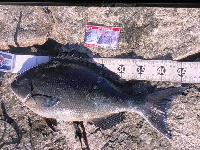 つり具の上州屋 - あなたのフィッシング＆アウトドアライフをサポート