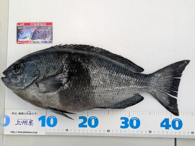 つり具の上州屋 - あなたのフィッシング＆アウトドアライフをサポート