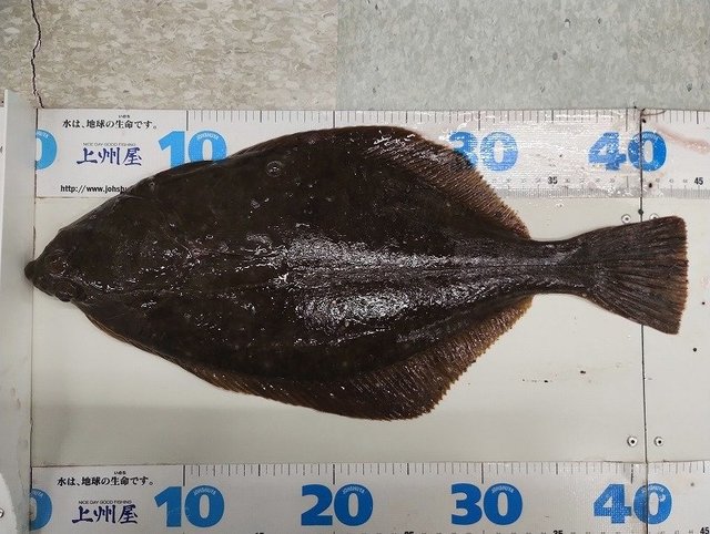 つり具の上州屋 - あなたのフィッシング＆アウトドアライフをサポート