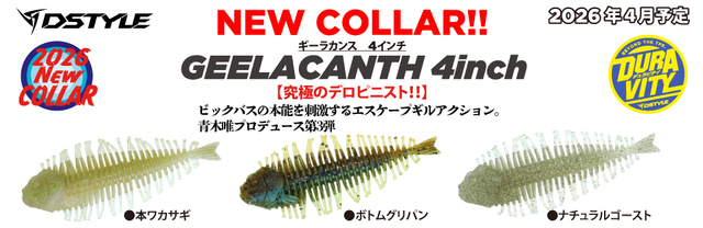 ギーラカンス3 ４色　1 新製品【DSTYLE】ギーラカンス（3inch）（4inch）【バス雑誌】ルアー