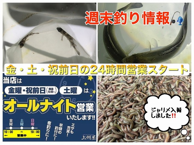 つり具の上州屋 - あなたのフィッシング＆アウトドアライフをサポート