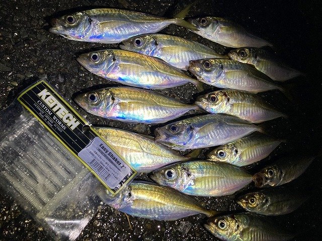 海人アオリ 勇治スペシャル300 alpha tackle（アルファタックル） エイテック アオリ竿 海人 アオリ