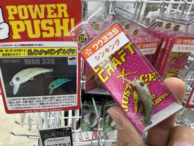 IN JAPAN　インキャ釣りにハマるルアーセット２０点セット IN JAPAN インキャ釣りにハマるルアーセット20点セット ムカイ 陰