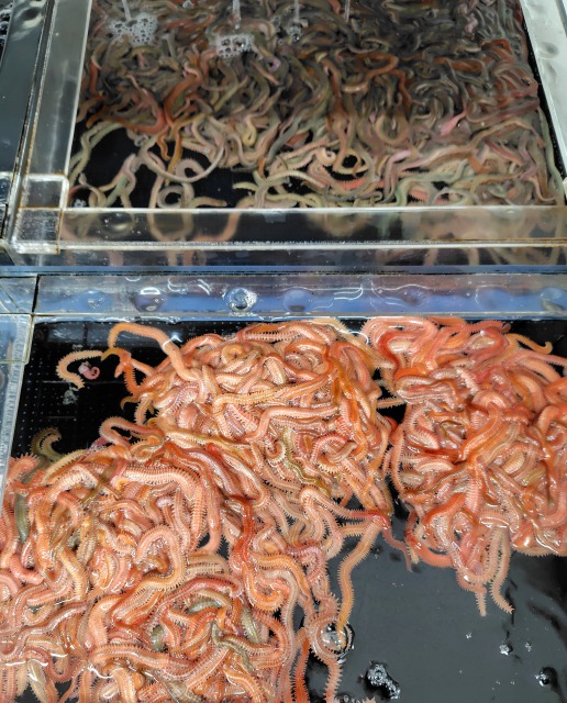 つり具の上州屋 - あなたのフィッシング＆アウトドアライフをサポート
