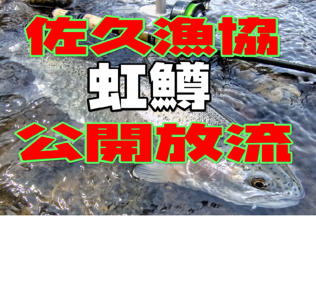 t602　つり天井　 2期　PH-44　52枚　まとめ売り　大量セット つり具の上州屋 - あなたのフィッシング＆アウトドアライフをサポート