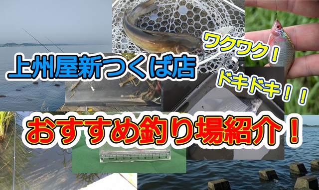 つり具の上州屋 - あなたのフィッシング＆アウトドアライフをサポート