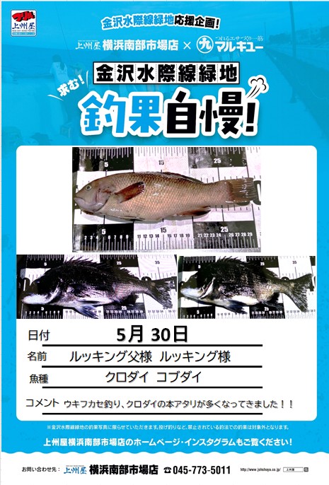 大物釣りページ つり具の上州屋 - あなたのフィッシング＆アウトドアライフをサポート