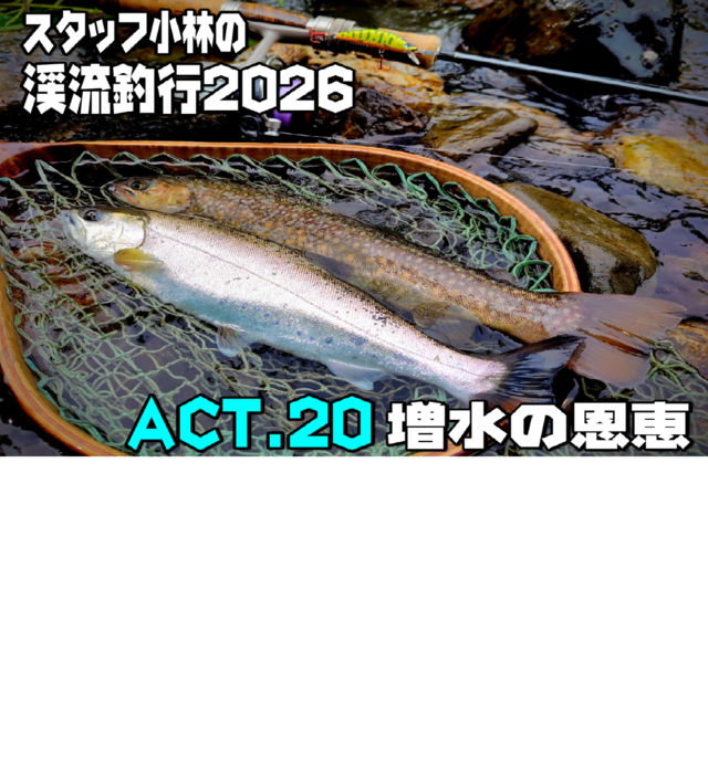 つじページ 6月5日迄のお取り置き お取り置き中！ お取り置き 取り置き