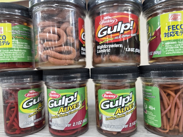 ガルプ　アースワーム レッド　7個 つり具の上州屋 - あなたのフィッシング＆アウトドアライフをサポート