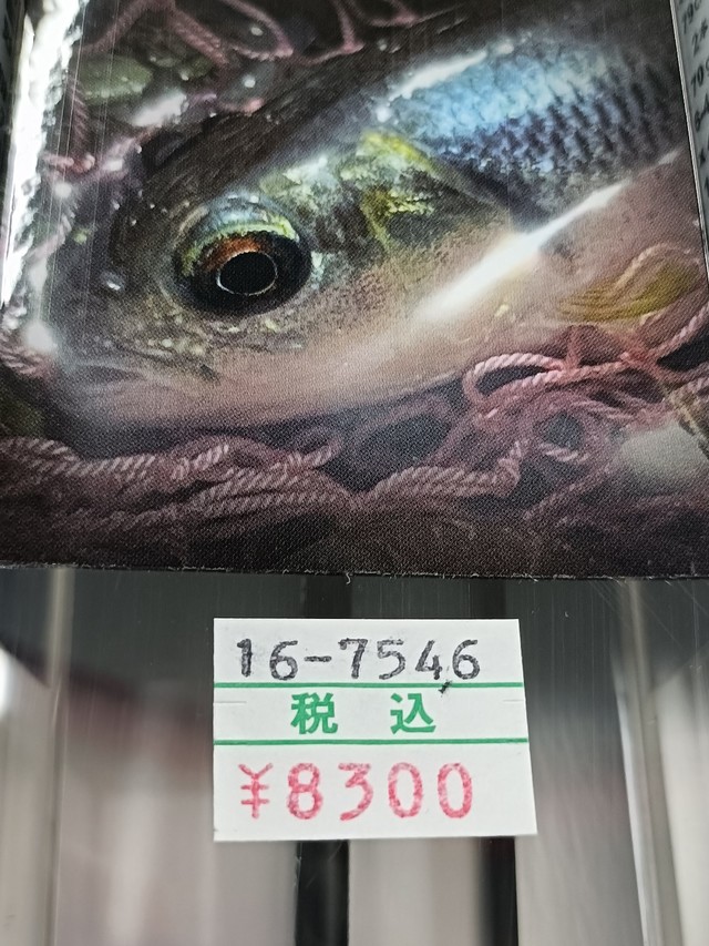 CBstyle ChubbyWalker 502 税込8,300円のチャビング専用ロッド